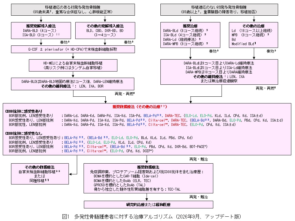 多発性骨髄腫の診療指針 | 診療指針・共同研究 | 日本骨髄腫学会
